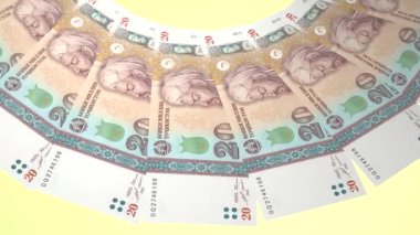 güzel dünya para birimi animasyonu