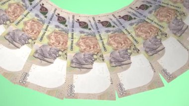 döngü canlandırma videosunda dünya para birimi