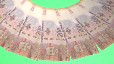 döngü canlandırma videosunda dünya para birimi