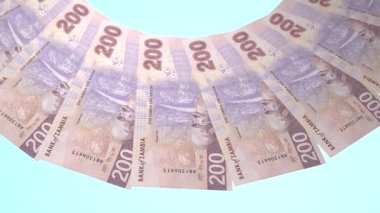 döngü canlandırma videosunda dünya para birimi