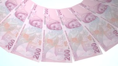 döngü canlandırma videosunda dünya para birimi