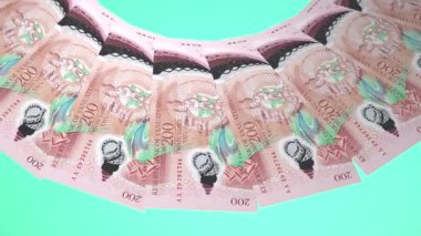 döngü canlandırma videosunda dünya para birimi