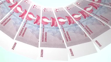 döngü canlandırma videosunda dünya para birimi