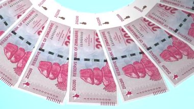 döngü canlandırma videosunda dünya para birimi