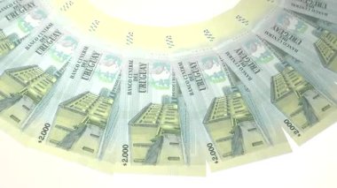 world currency on loop animation video