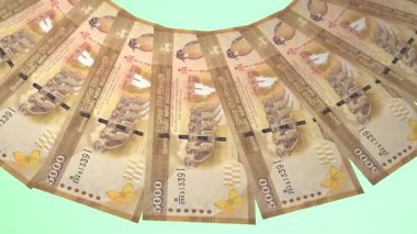 döngü canlandırma videosunda dünya para birimi