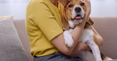 Genç bir kadın evdeki kanepede köpeğiyle oynarken eğleniyor..