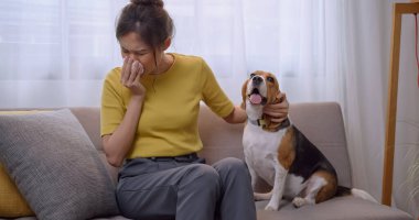Genç bir kadın köpeğinin kürküne alerjik reaksiyon gösterir..