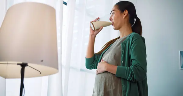 Asian pregnant woman drinking milk for the health of herself and her unborn baby.