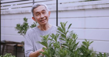 Mutlu emekli adam evde bitki dikerek zaman harcıyor. Yaşlı bir Asyalı adam evde bahçe işleriyle uğraşıyor..