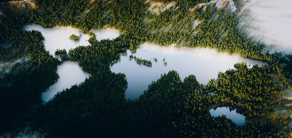 Krásný Svěží Horský Les Tyrkysovým Jezerem Tvaru Kontinentu Ultra Širokého — Stock fotografie