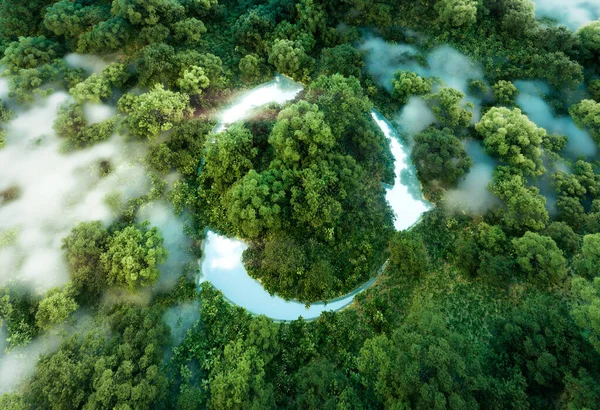 Vykreslování Nedotčené Džungle Rybníka Abstraktní Ikonou Povzbuzující Ekologickou Recyklaci Opětovné Stock Fotografie