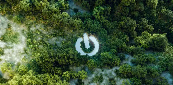 Ikon Saklar Daya Sebagai Oasis Air Hutan Lebat Mewujudkan Kekuatan Stok Gambar