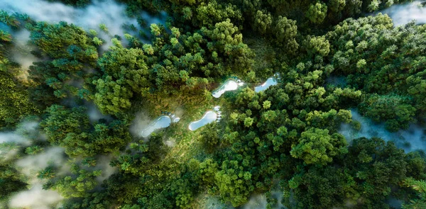 Fotsporformet Innsjø Frodig Skog Symbolsk Menneskelig Påvirkning Terreng Med Undertoner stockfoto