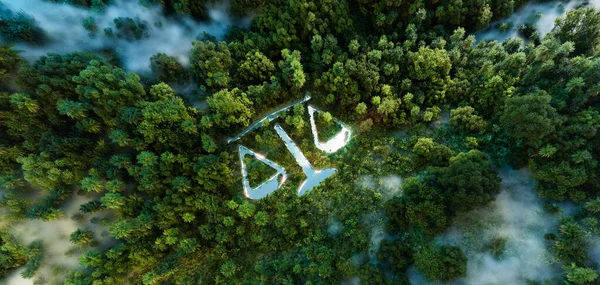 Depiction of Environmental Justice and Policies: Scales Symbol Lake Amidst Lush Rainforest. 3d Rendering.