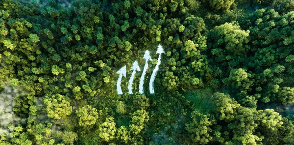 Innsjø Form Stigende Graf Midten Uberørt Natur Symboliserer Den Økende royaltyfrie gratis stockbilder
