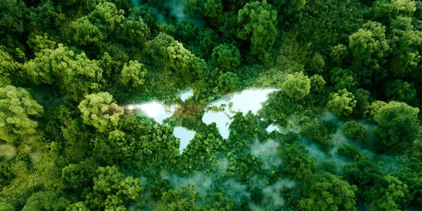 Světové Kontinenty Podobě Velkého Jezera Uprostřed Bujného Deštného Pralesa Jako Stock Fotografie