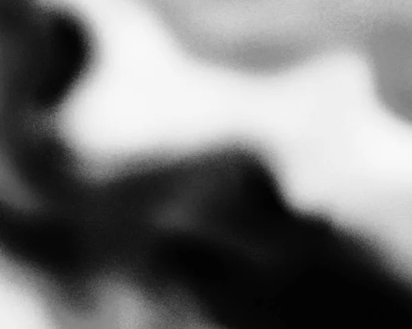 Черно Белое Фото Красивой Женщины — стоковое фото
