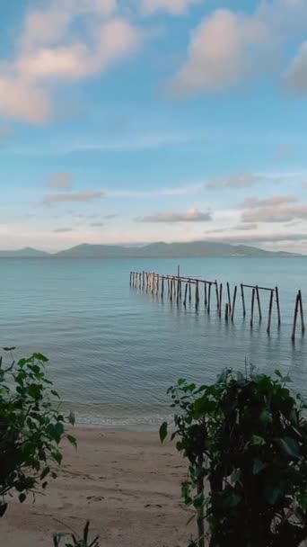 Pionowe Wideo Tropikalnego Wybrzeża Piaskiem Drzewami Nad Morzem Powolny Film — Wideo stockowe