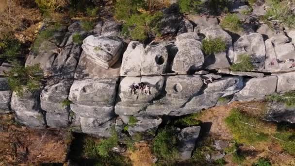 秋の森の岩の上を飛行します 大きな石の上に人が座っている 上空からのドローン飛行 高品質のフルHd映像 — ストック動画