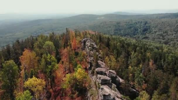 Voo Sobre Rochas Floresta Outono Voo Drones Cima Árvores Douradas — Vídeo de Stock