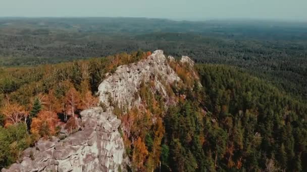 Sonbahar Ormanındaki Kayaların Üzerinden Uçmak Yukarıdan Uçuşu Kırmızı Sarı Yeşil — Stok video