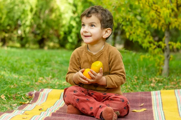 Little Child Playing Park Fruits Little Boy Autumn Park — Stock Photo, Image