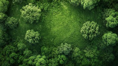 Yeşil bir manzaranın panoramik görüntüsü, yeşil bir manzaranın hava görüntüsü, ağaçlı yeşil ekoloji manzarası