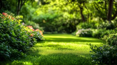 panoramic view of the nature, green nature scenery, fresh nature