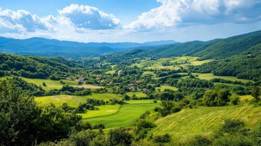 panoramic view of the nature, green nature scenery, fresh nature