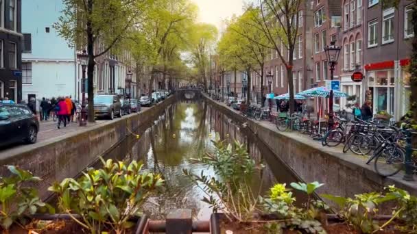 Casas Estrechas Tradicionales Barcos Canales Amsterdam Países Bajos Europa Mayo — Vídeo de stock