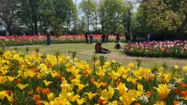 İnsanlar, 28 Nisan 2022 'de, Keukenhof Çiçek Bahçesi, Lisse, Hollanda' da renkli lalelerin tadını çıkarıyorlar. Yüksek kalite 4k görüntü
