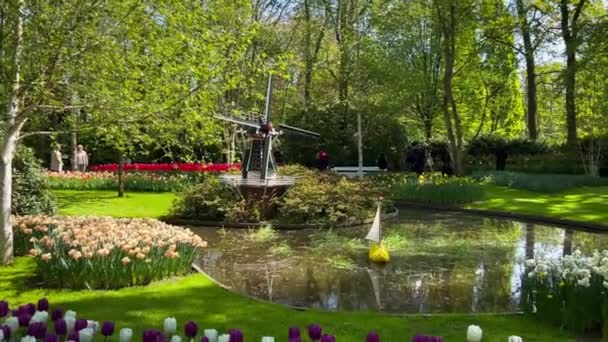 Emberek Szeretik Színes Tulipánokat Napsütéses Napokon Keukenhof Virágoskertben Lisse Hollandia — Stock videók