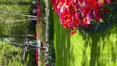 İnsanlar, 28 Nisan 2022 'de, Keukenhof Çiçek Bahçesi, Lisse, Hollanda' da, renkli lalelerin keyfini çıkarıyorlar. Yüksek kalite 4k görüntü