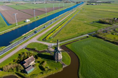 Hollanda 'daki renkli lale tarlaları, yel değirmenleri, rüzgar türbinleri, su kanalları ve tarım alanlarında insansız hava aracı görüntüsü