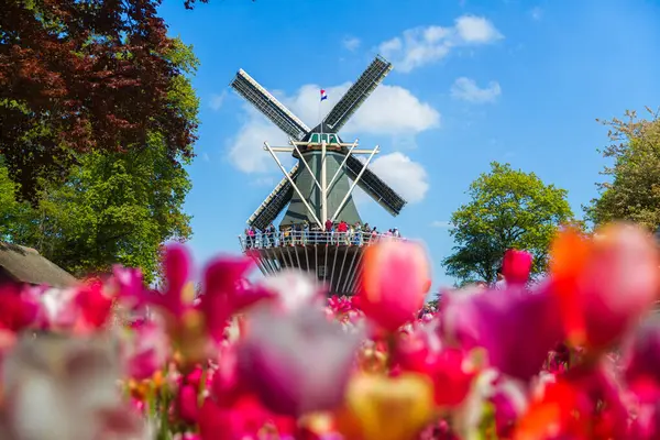 İnsanlar, 28 Nisan 2022 'de Keukenhof Çiçek Bahçesi, Lisse, Hollanda' da renkli lalelerin tadını çıkarıyorlar.