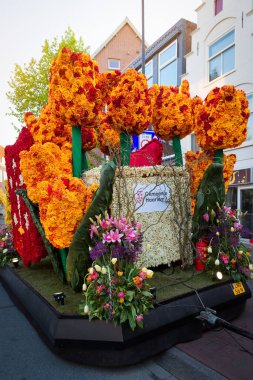 Bloemencorso Bollenstreek Çiçek Parade Keukenhof, Haarlem, Hollanda 'da çiçeklerle süslenmiş platformlar, 24 Nisan 2022.