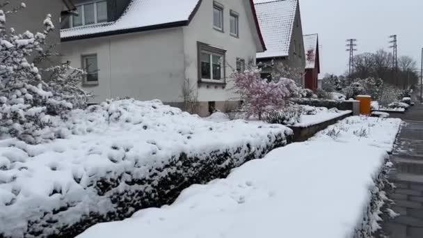 Квітуча Сакура Під Снігом Перші Весняні Квіти Снігу Раптові Морози — стокове відео