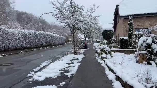 Plötslig Vårfrost Första Våren Blommor Snö Snöfall Tidigt Våren Bramsche — Stockvideo