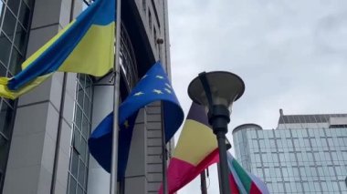 Devlet bayrakları Avrupa Birliği üye ülkeleri, Avrupa Parlamentosu, Brüksel, Belçika, Avrupa, 5 Ağustos 2023. Yüksek kalite 4k görüntü