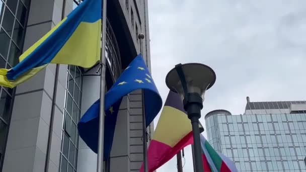 Государственные Флаги Стран Европейского Союза Фон Европейский Парламент Брюссель Бельгия — стоковое видео