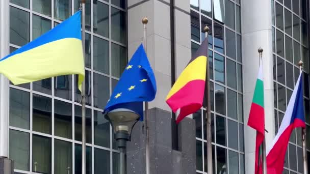 Staatsvlaggen Europese Unie Lidstaten Achtergrond Het Europees Parlement Brussel België — Stockvideo