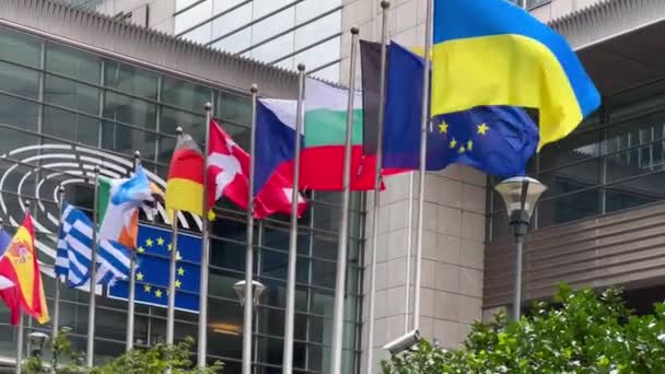 Állami Zászlók Európai Unió Tagállamainak Háttere Európai Parlament Brüsszel Belgium — Stock videók