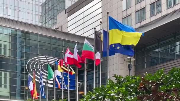 Staten Flagger Eus Medlemsland Bakgrunn Europaparlamentet Brussel Belgia Europa August – stockvideo