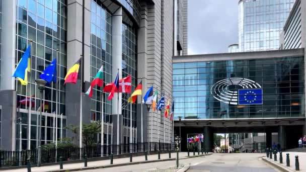 Staatliche Flaggen Europäische Union Mitgliedsstaaten Hintergrund Das Europäische Parlament Brüssel — Stockvideo
