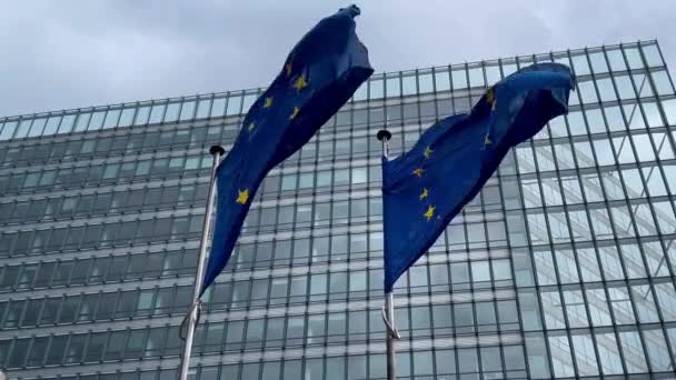 Flaggen Der Europäischen Union Flattern Wind Vor Dem Hintergrund Von — Stockvideo