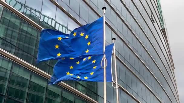 Bandiere Dell Unione Europea Sventolano Nel Vento Sullo Sfondo Della — Video Stock