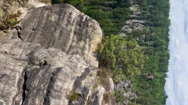 Sakson İsviçre Ulusal Parkı 'ndaki Saksonya Nehri kıyısındaki Bastei Köprüsü, Almanya, Saksonya, dikey video. Yüksek kalite 4k görüntü