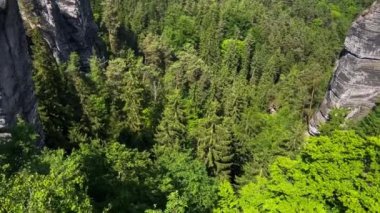 Bastei Köprüsü, Saksonya, Almanya 'da Elbe Nehri kıyısındaki Sakson İsviçre Ulusal Parkı' nda. Yüksek kalite 4k görüntü
