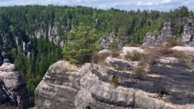 Bastei Köprüsü, Saksonya, Almanya 'da Elbe Nehri kıyısındaki Sakson İsviçre Ulusal Parkı' nda. Yüksek kalite 4k görüntü